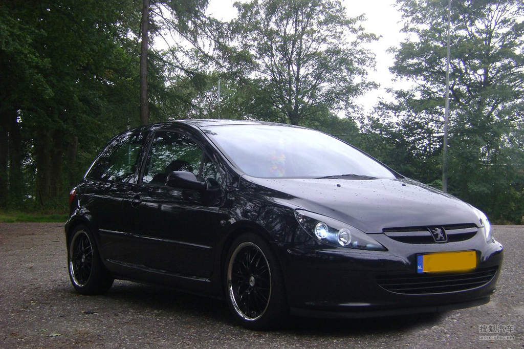 【 标致307两厢高清图片】_酷黑雄狮标致307改装_搜狐汽车网