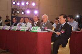 比亚迪e6先行者上市