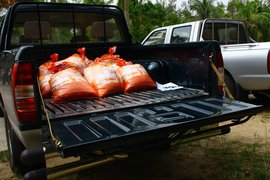 2011款郑州日产锐祺ZD30柴油皮卡海口试驾