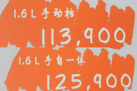 2012款大众CrossPolo上市现场实拍