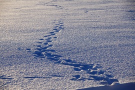 2011款宝马M3双门版瑞典冰雪高级驾驶培训实拍
