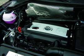 不要问我从哪里来