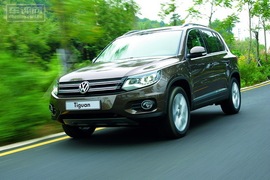 不要问我从哪里来