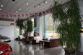 【保养】MG3保养售后调查