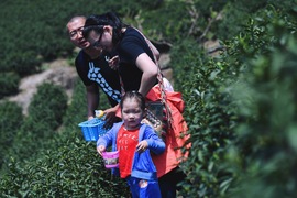 来吧小麻豆写真集