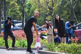 来吧小麻豆写真集