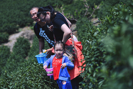 来吧小麻豆活动花絮