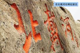 如何加油才能省钱
