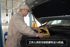 【保养】雷克萨斯-LS售后调查