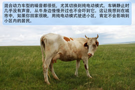 实测百公里油耗3.8升!