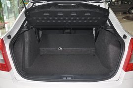 2013款斯柯达明锐Greenline2