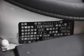 2013款斯柯达明锐Greenline2