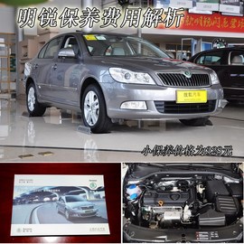 【保养】明锐-售后调查