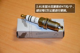 【保养】明锐-售后调查