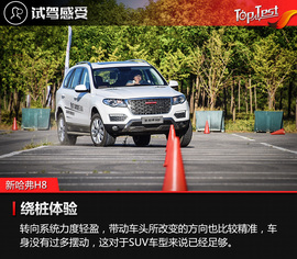 自主豪华新格调