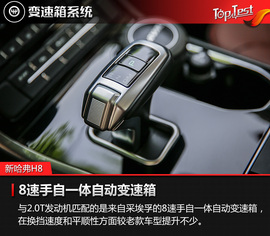 自主豪华新格调