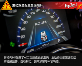 自主豪华新格调