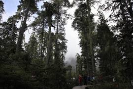 2012款江铃驭胜2.4L汽油版长途试驾实拍