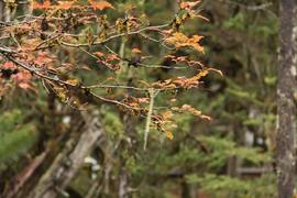 2012款江铃驭胜2.4L汽油版长途试驾实拍