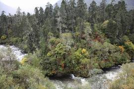 2012款江铃驭胜2.4L汽油版长途试驾实拍