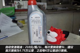 【保养】帕萨特-售后调查