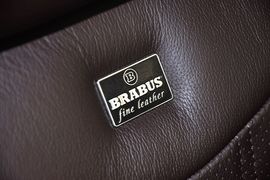 巴博斯60S龙年纪念版