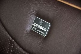 巴博斯60S龙年纪念版