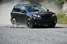 2012广州车展体验新森林人