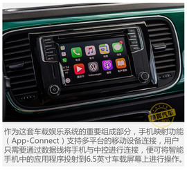 甲壳虫翡冷翠版实拍