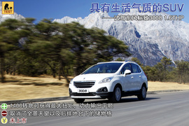 2013款东风标致3008