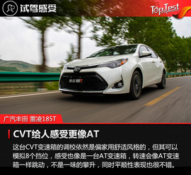 2017款广汽丰田雷凌185T