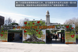 2013款西雅特伊比飒Ibiza