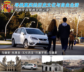 2013款西雅特伊比飒Ibiza