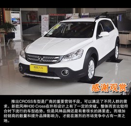 2013款东风风神新H30