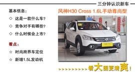 2013款东风风神新H30