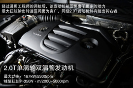 激进和舒适中寻找平衡
