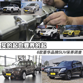 6款豪华品牌SUV保养调查