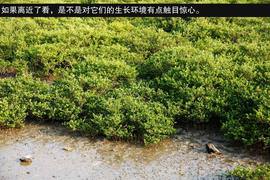 2013款吉利全球鹰GX7海岸之旅游记