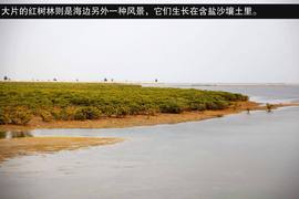 2013款吉利全球鹰GX7海岸之旅游记