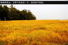 2013款吉利全球鹰GX7海岸之旅游记