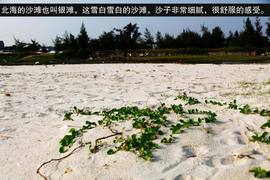 2013款吉利全球鹰GX7海岸之旅游记
