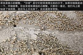 2013款吉利全球鹰GX7海岸之旅游记
