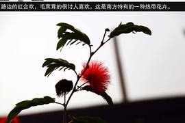 2013款吉利全球鹰GX7海岸之旅游记