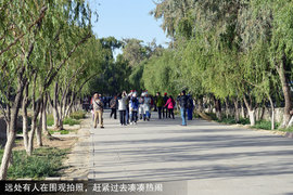 景逸X5穿越西部行游记