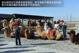 景逸X5穿越西部行游记