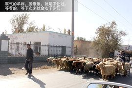 景逸X5穿越西部行游记