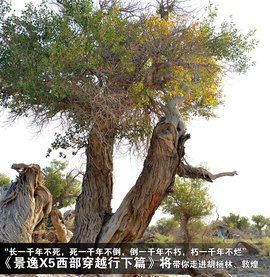 景逸X5穿越西部行游记