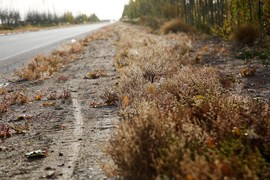 2013款福特新福克斯2.0L嘉峪关绿色能源之旅试驾