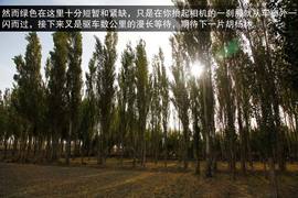 2013款福特新福克斯2.0L嘉峪关绿色能源之旅试驾