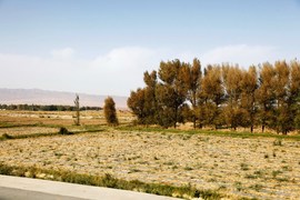 2013款福特新福克斯2.0L嘉峪关绿色能源之旅试驾